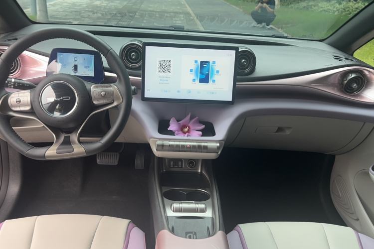 Used BYD Dolphin 2021 405 km Fashion Edition Center Console
