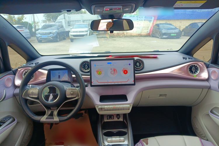 Used BYD Dolphin 2021 405 km Fashion Edition Center Console