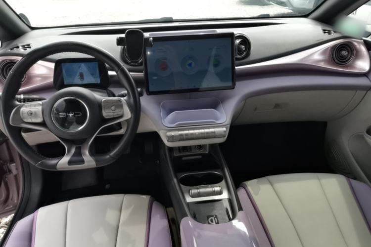 Used BYD Dolphin 2021 401km Knight Edition Center Console