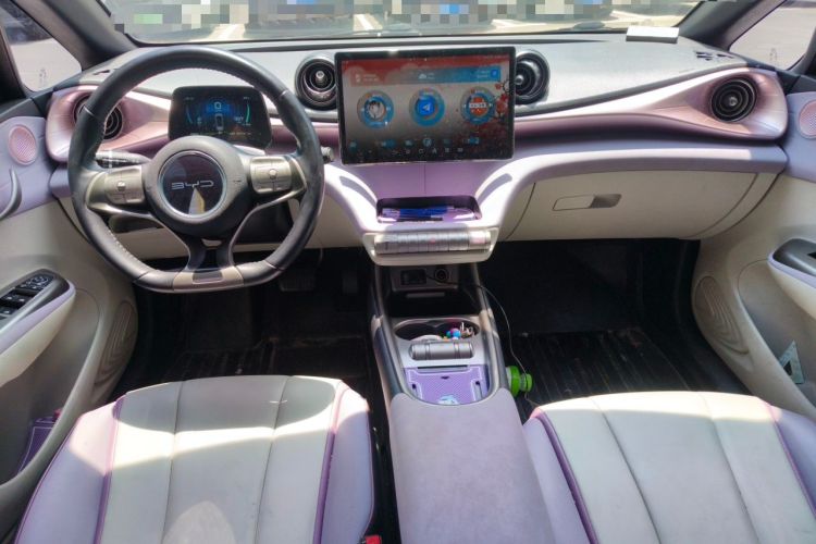 Used BYD Dolphin 2021 405 km Fashion Edition Center Console