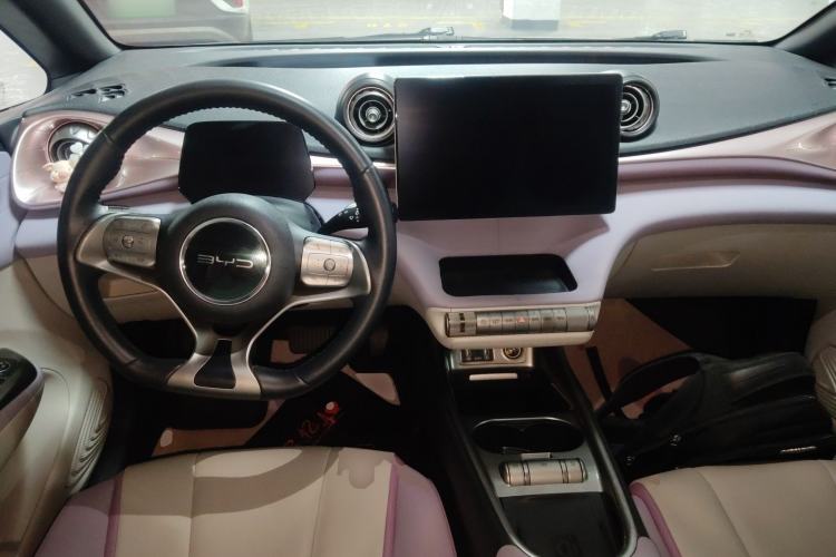 Used BYD Dolphin 2021 405 km Fashion Edition Center Console