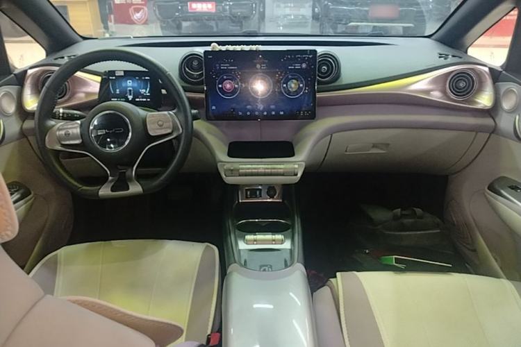Used BYD Dolphin 2021 401km Knight Edition Center Console