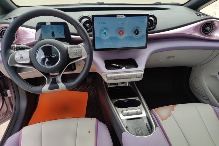 Used BYD Dolphin 2021 405 km Fashion Edition Center Console