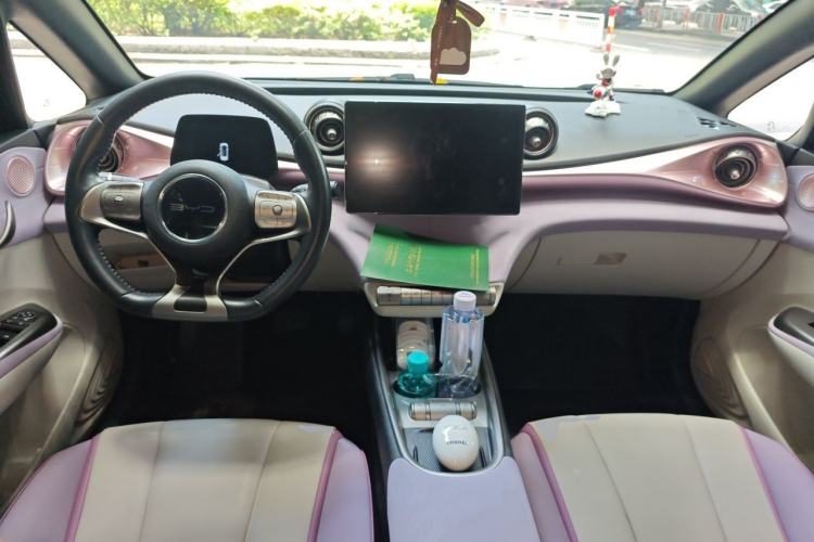 Used BYD Dolphin 2021 405 km Fashion Edition Center Console