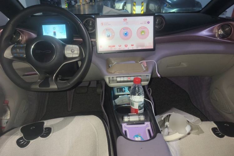 Used BYD Dolphin 2021 405 km Free Version Center Console
