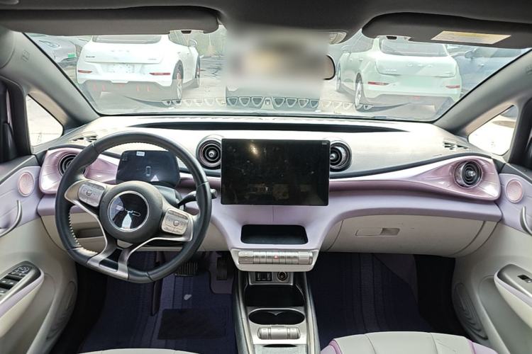 Used BYD Dolphin 2021 405 km Fashion Edition Center Console