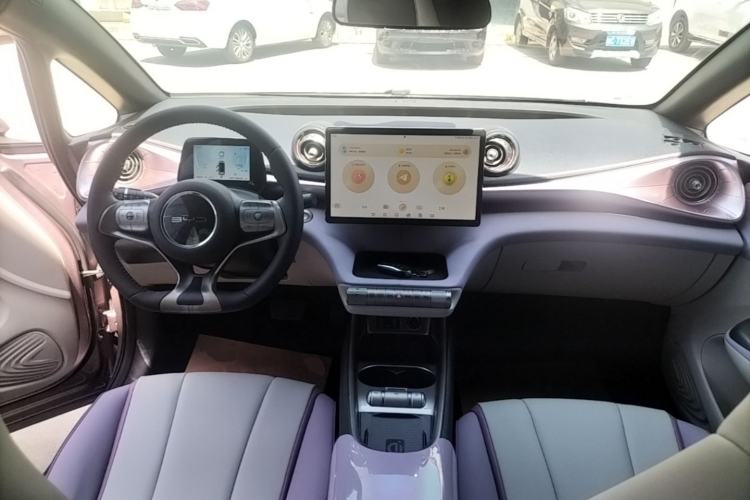 Used BYD Dolphin 2021 401km Knight Edition Center Console