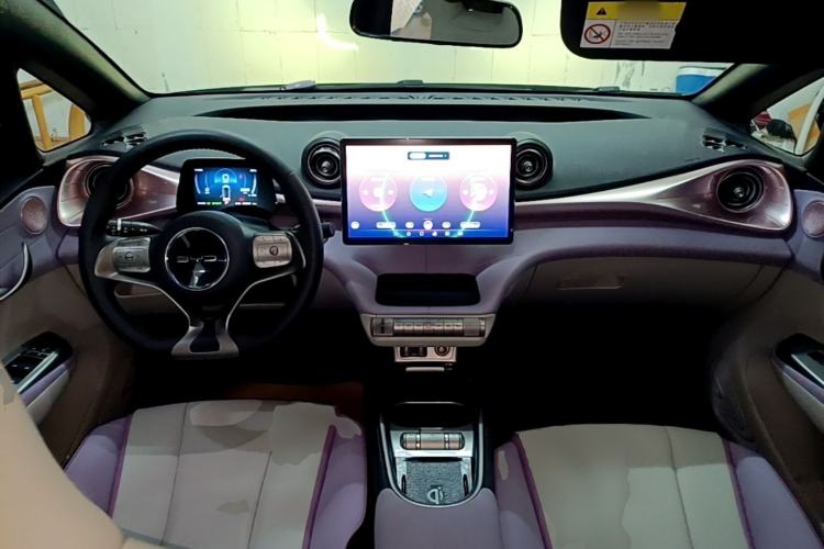 Used BYD Dolphin 2021 405 km Fashion Edition Center Console