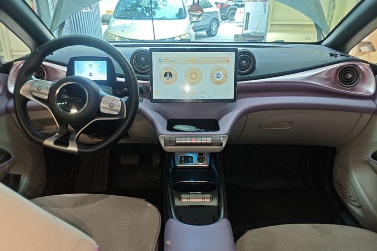 Used BYD Dolphin 2021 401km Knight Edition Center Console