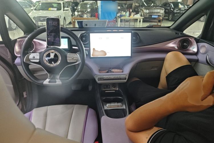 Used BYD Dolphin 2021 405 km Fashion Edition Center Console