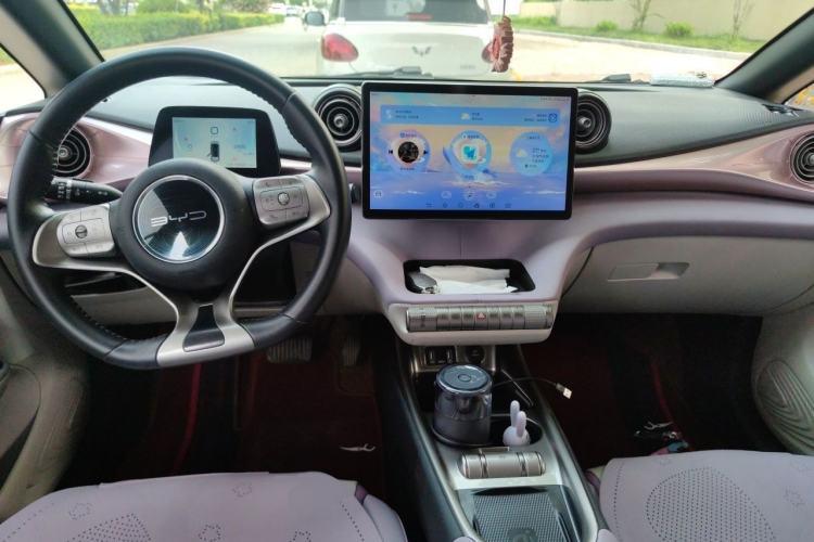Used BYD Dolphin 2021 405 km Fashion Edition Center Console