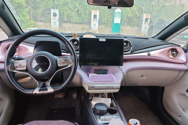 Used BYD Dolphin 2021 405 km Free Version Center Console