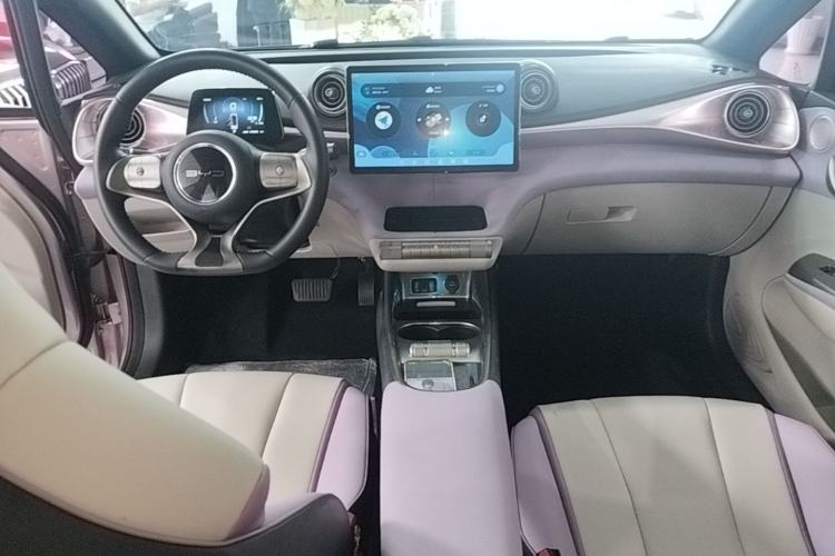 Used BYD Dolphin 2021 405 km Fashion Edition Center Console