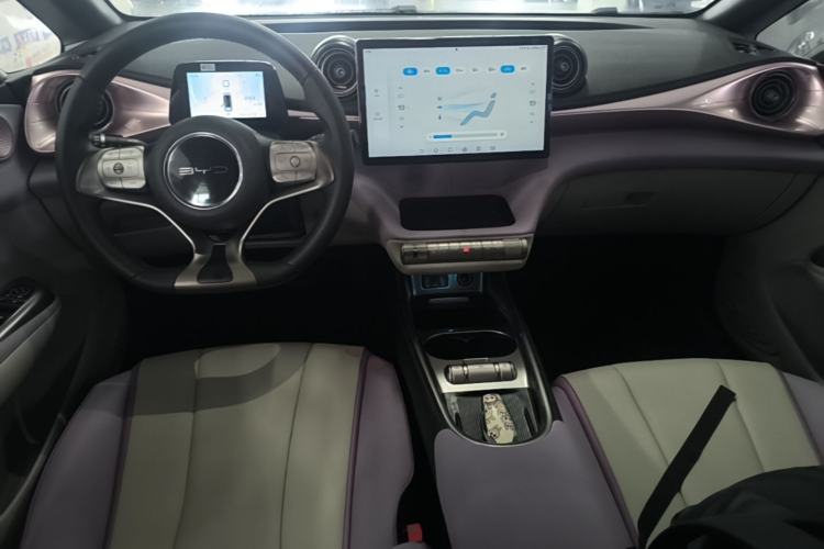 Used BYD Dolphin 2021 405 km Fashion Edition Center Console