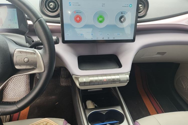 Used BYD Dolphin 2021 405 km Fashion Edition Center Console