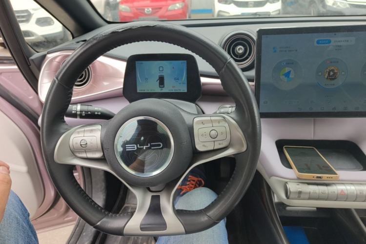 Used BYD Dolphin 2021 405 km Fashion Edition Center Console