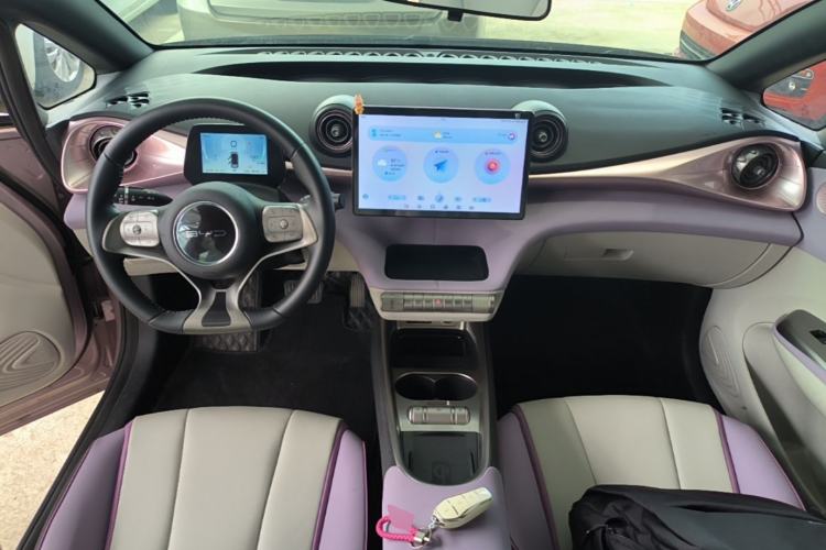 Used BYD Dolphin 2021 405 km Fashion Edition Center Console