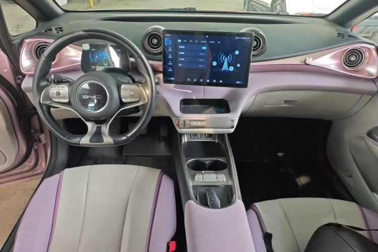 Used BYD Dolphin 2021 405 km Fashion Edition Center Console