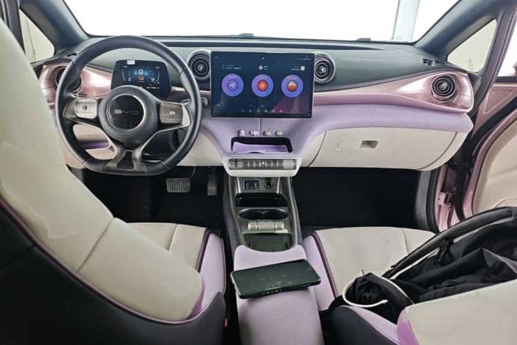 Used BYD Dolphin 2021 405 km Fashion Edition Center Console