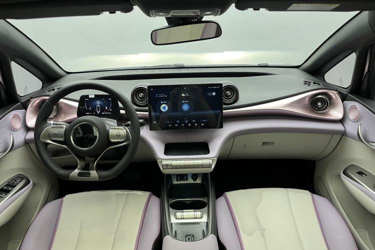 Used BYD Dolphin 2021 405 km Fashion Edition Center Console