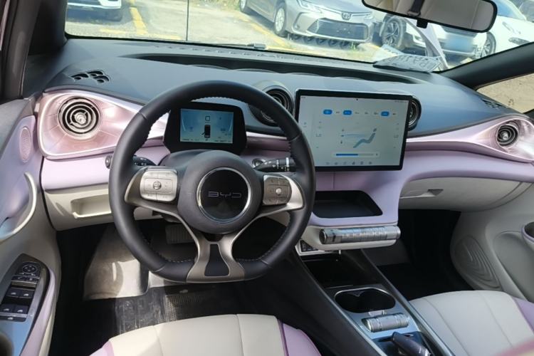 Used BYD Dolphin 2021 405 km Fashion Edition Center Console