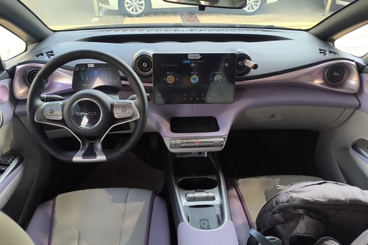 Used BYD Dolphin 2021 405 km Fashion Edition Center Console