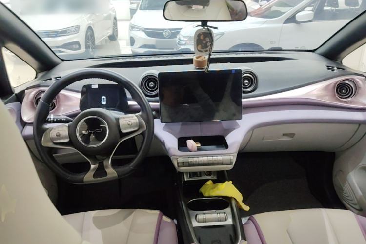 Used BYD Dolphin 2021 405 km Fashion Edition Center Console