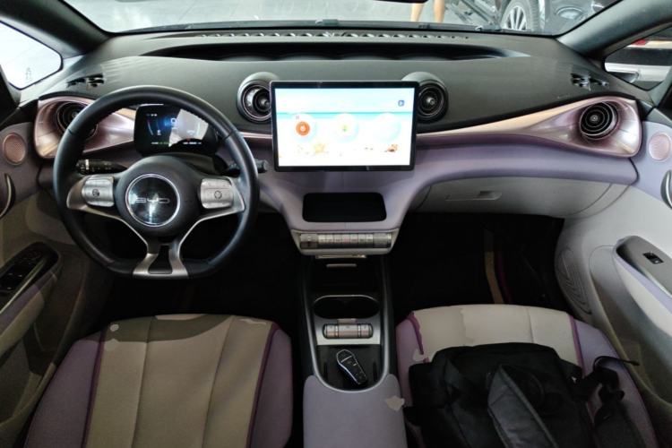 Used BYD Dolphin 2021 405 km Fashion Edition Center Console