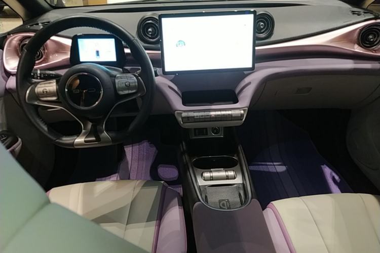 Used BYD Dolphin 2021 401km Knight Edition Center Console