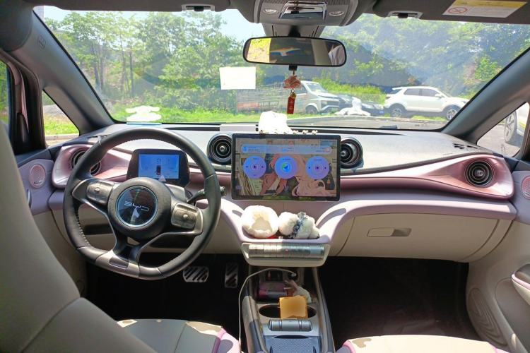 Used BYD Dolphin 2021 405 km Fashion Edition Center Console