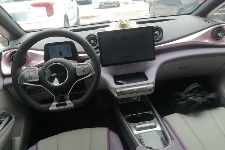 Used BYD Dolphin 2021 405 km Fashion Edition Center Console