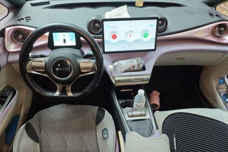 Used BYD Dolphin 2021 405 km Fashion Edition Center Console