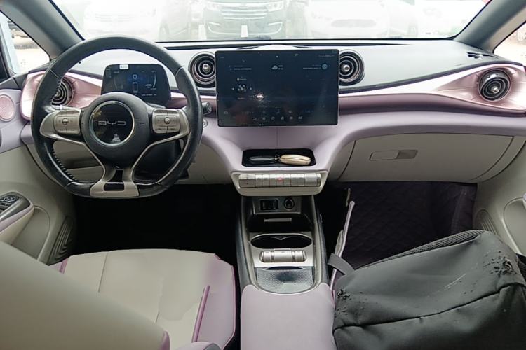 Used BYD Dolphin 2021 405 km Free Version Center Console