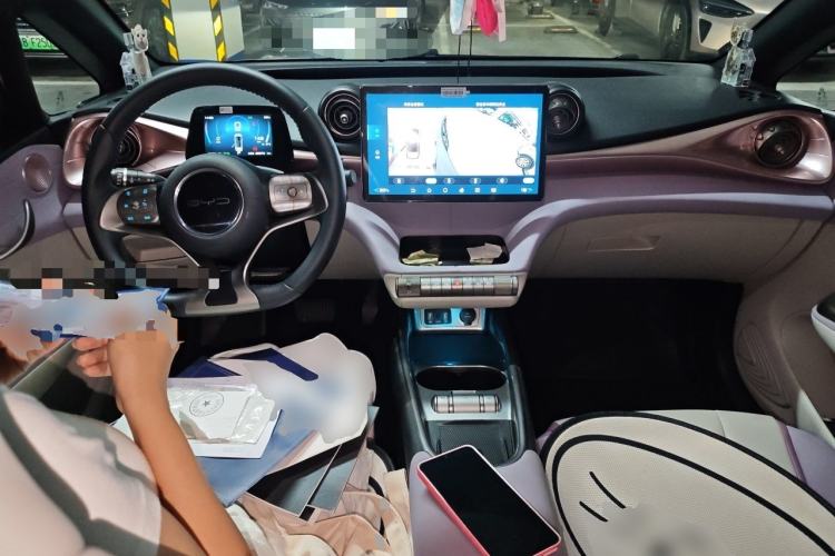 Used BYD Dolphin 2021 405 km Fashion Edition Center Console