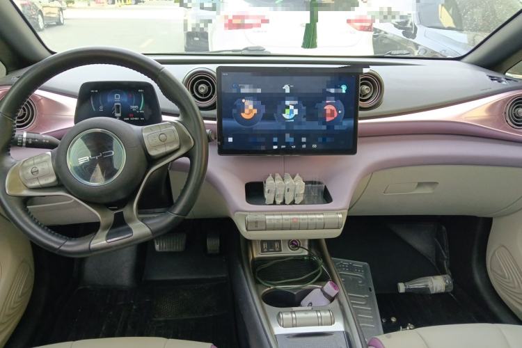 Used BYD Dolphin 2021 405 km Fashion Edition Center Console
