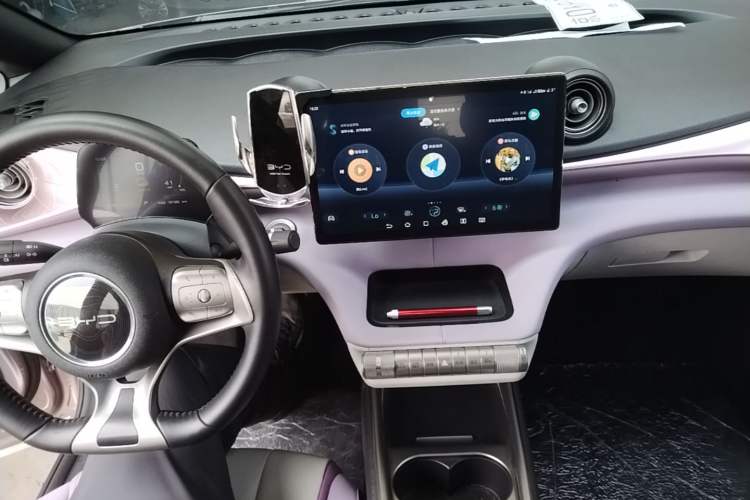Used BYD Dolphin 2021 405 km Fashion Edition Center Console