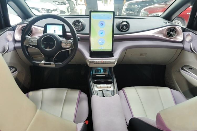 Used BYD Dolphin 2021 405 km Fashion Edition Center Console