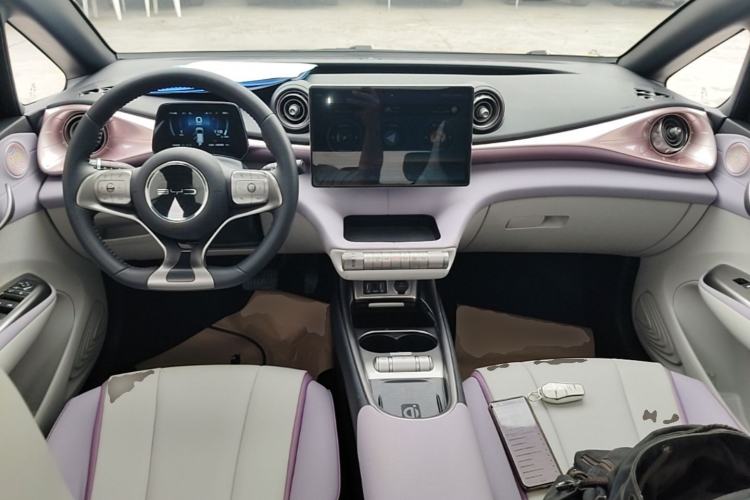 Used BYD Dolphin 2021 405 km Fashion Edition Center Console
