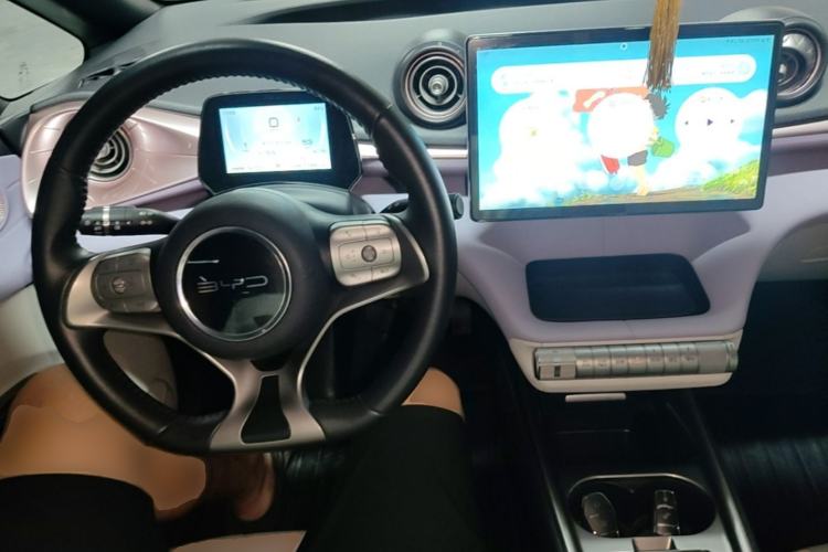 Used BYD Dolphin 2021 405 km Fashion Edition Center Console