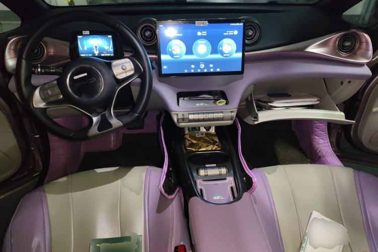 Used BYD Dolphin 2021 405 km Fashion Edition Center Console