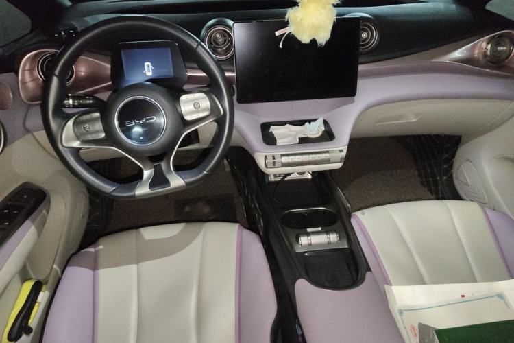 Used BYD Dolphin 2021 401km Knight Edition Center Console