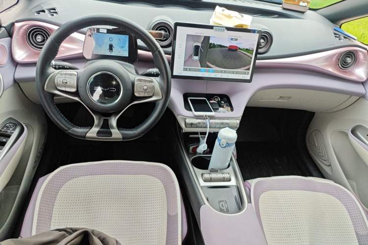Used BYD Dolphin 2021 405 km Fashion Edition Center Console