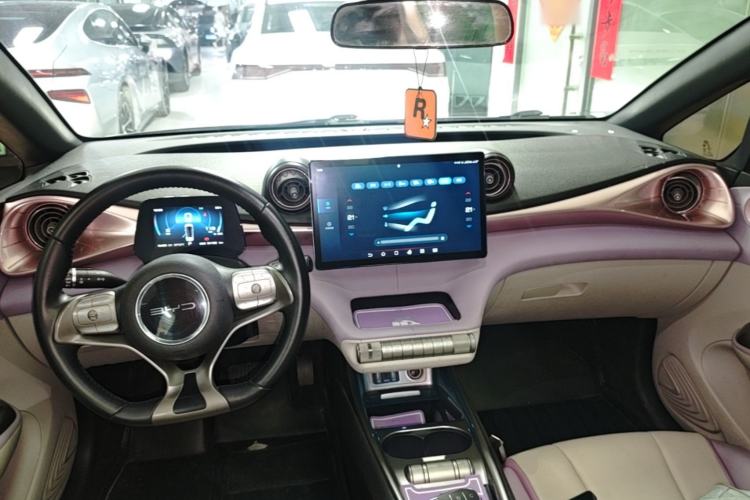 Used BYD Dolphin 2021 405 km Fashion Edition Center Console