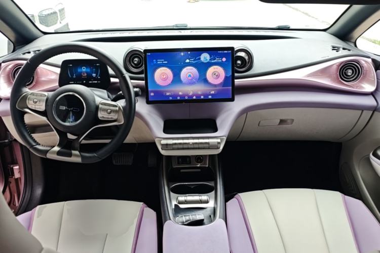 Used BYD Dolphin 2021 401km Knight Edition Center Console
