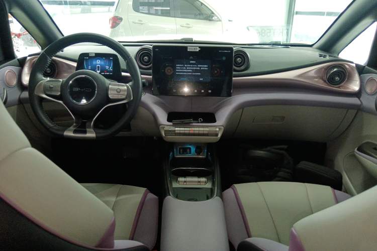 Used BYD Dolphin 2021 405 km Fashion Edition Center Console