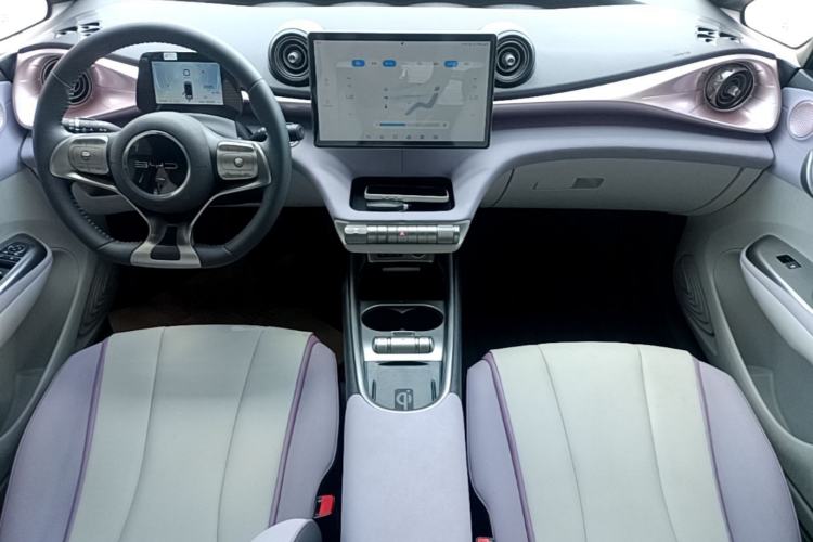 Used BYD Dolphin 2021 405 km Fashion Edition Center Console