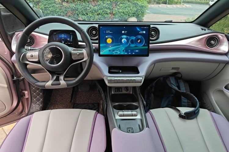 Used BYD Dolphin 2021 401km Knight Edition Center Console