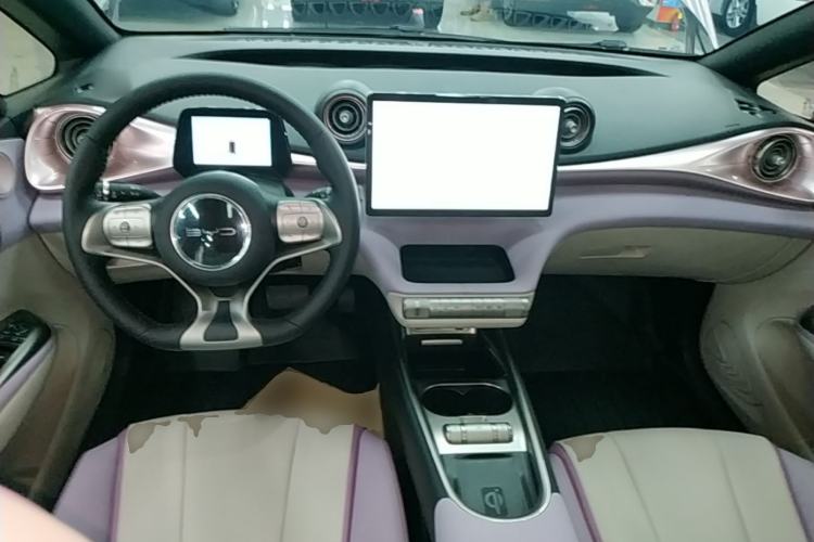Used BYD Dolphin 2021 405 km Fashion Edition Center Console