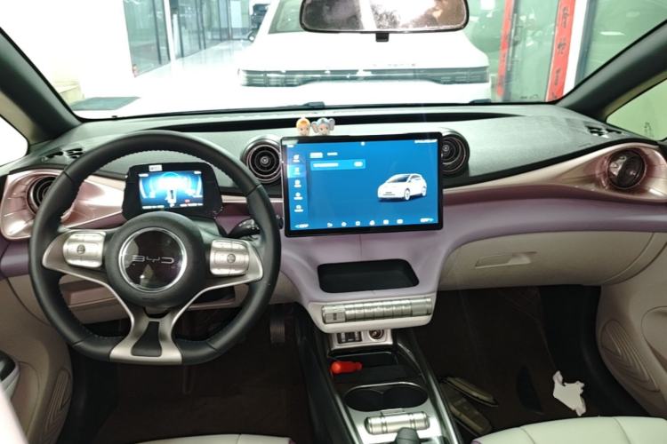 Used BYD Dolphin 2021 405 km Fashion Edition Center Console