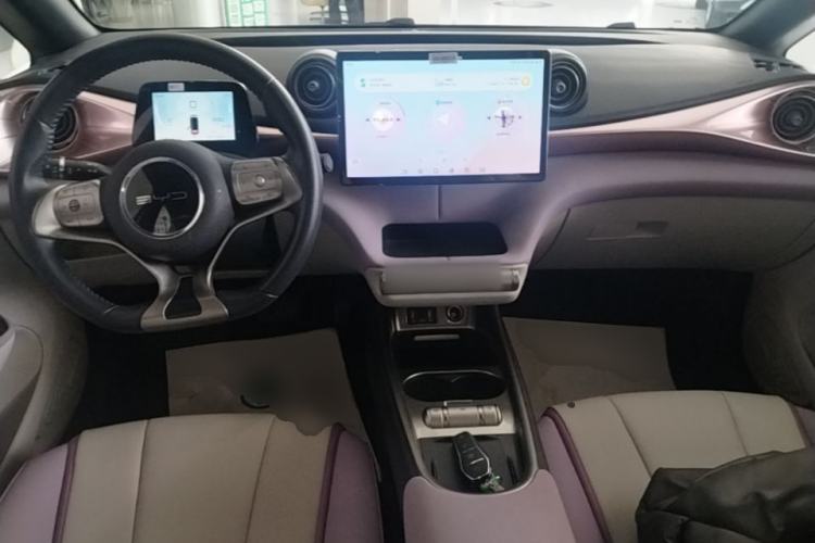 Used BYD Dolphin 2021 405 km Fashion Edition Center Console